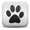 Captcha image 5539